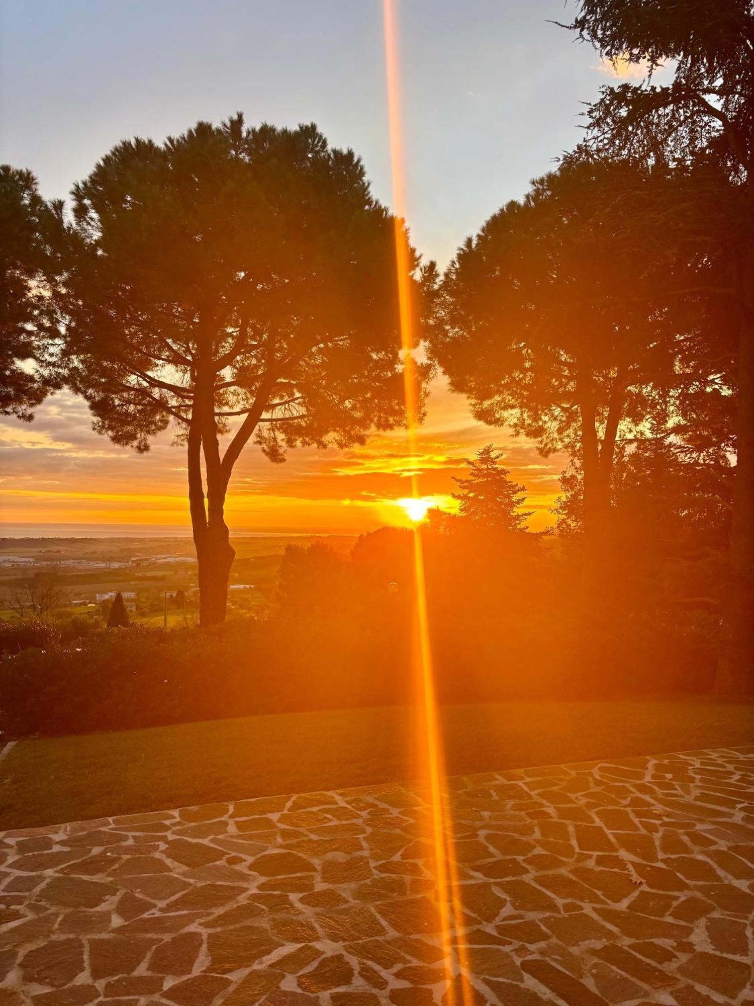 Nuances Del Conero Relais Bed & Breakfast Castelfidardo Dış mekan fotoğraf